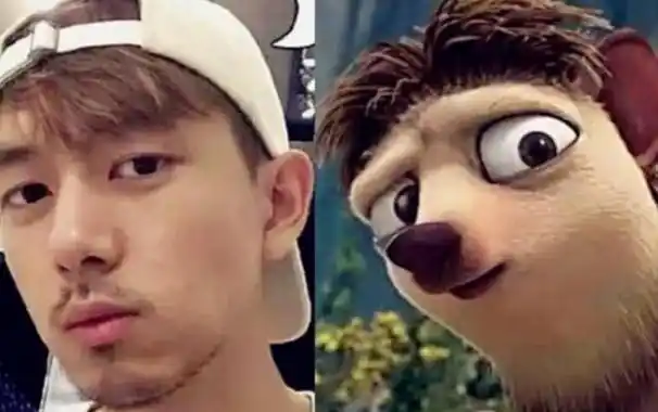 10位像动物的明星王一博肖战还能忍看到易烊千玺简直是神似