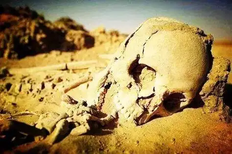 羌塘无人区位于西藏自治区的北部,面积59万平方公里,其中自然保护区30