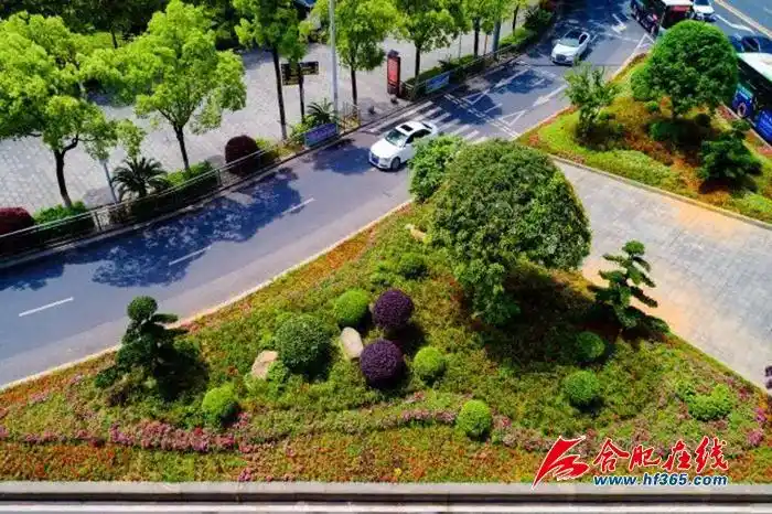 《合肥市城市道路交叉口设计指南》正式发布施行