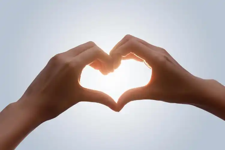 感恩节感恩生命里的每一个遇见