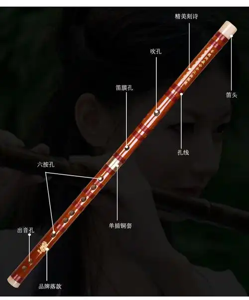 长笛初学者竹笛演奏乐器,派专业长笛,成年子女学长笛