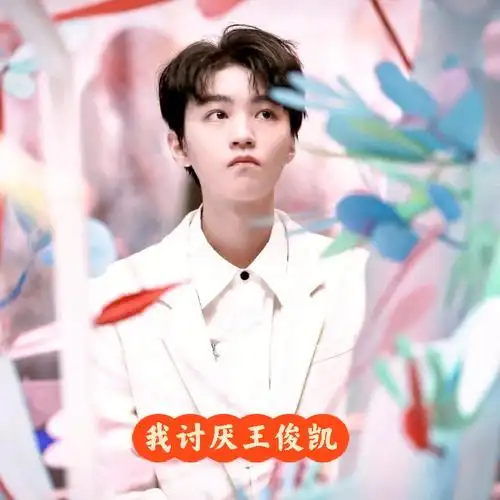 王俊凯的黑粉们快进来