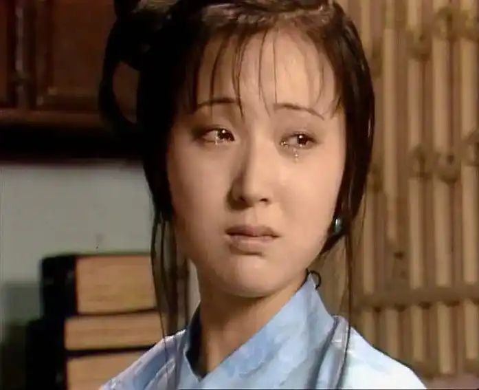 林黛玉的泪水不仅为贾宝玉而流