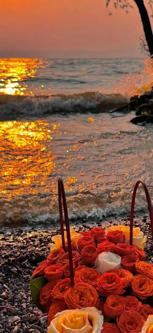 壁纸|值得用很久的全屏壁纸