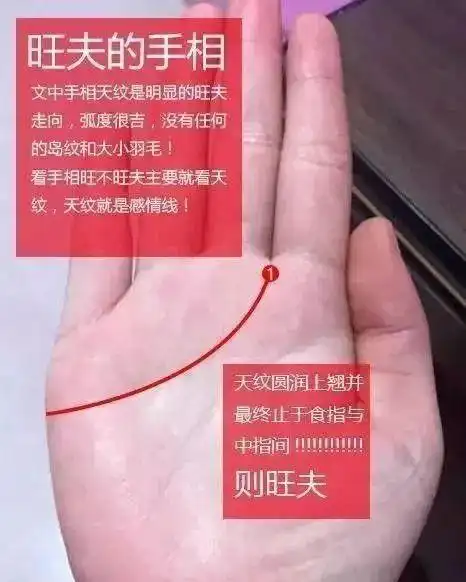 婚姻不顺,看手相才知自己会旺夫登云梯,未来两相宜|旺夫|手相|手掌_新