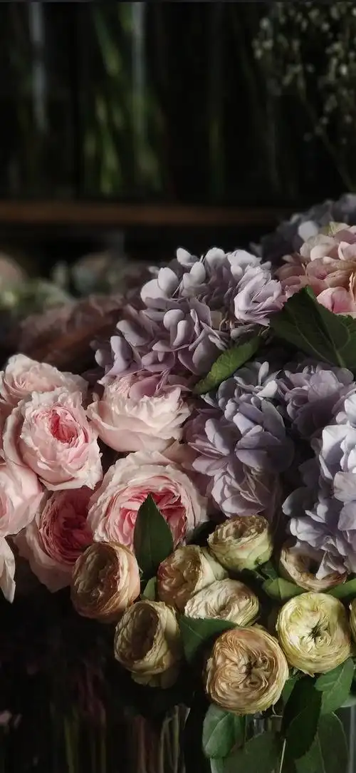 风景静物背景图|谢谢光临.,静物背景图片(花卉摄影壁纸图文解说)