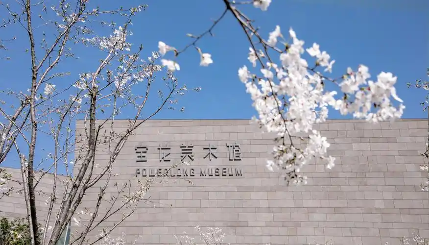 宝龙美术馆-樱花开放9494 - 卡莱布 - 图虫