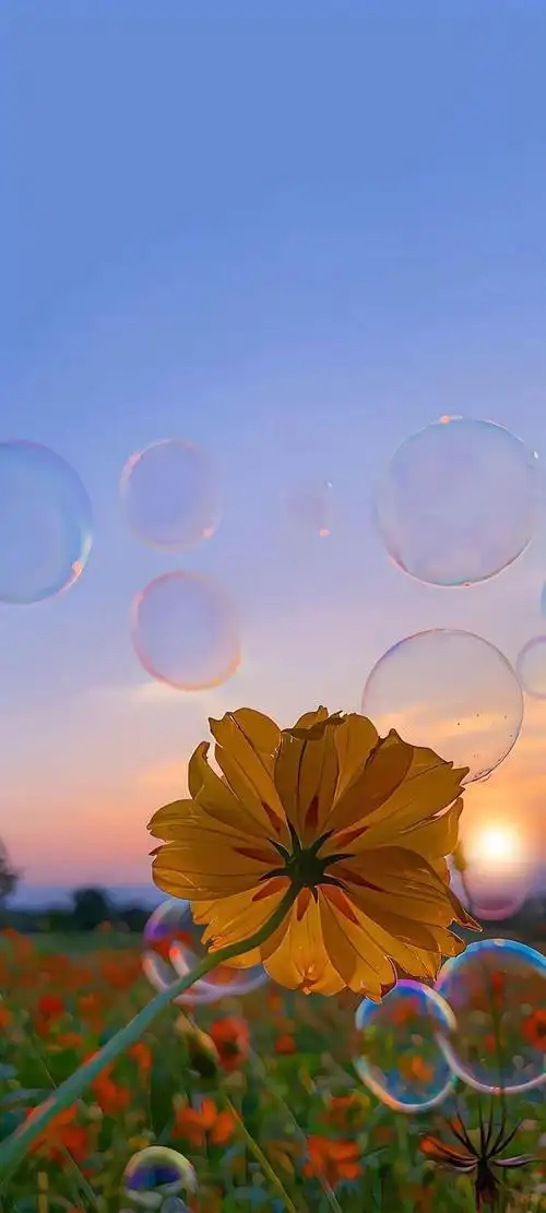 5.20超绝的一组手机壁纸 | 零零散散,简简单单