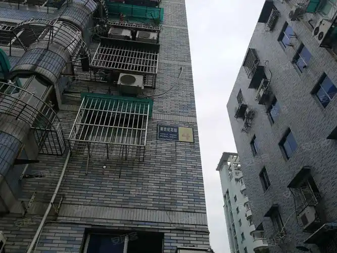 鹿城新世纪花园(东区),丰源路52号-温州鹿城新世纪花园(东区)二手房