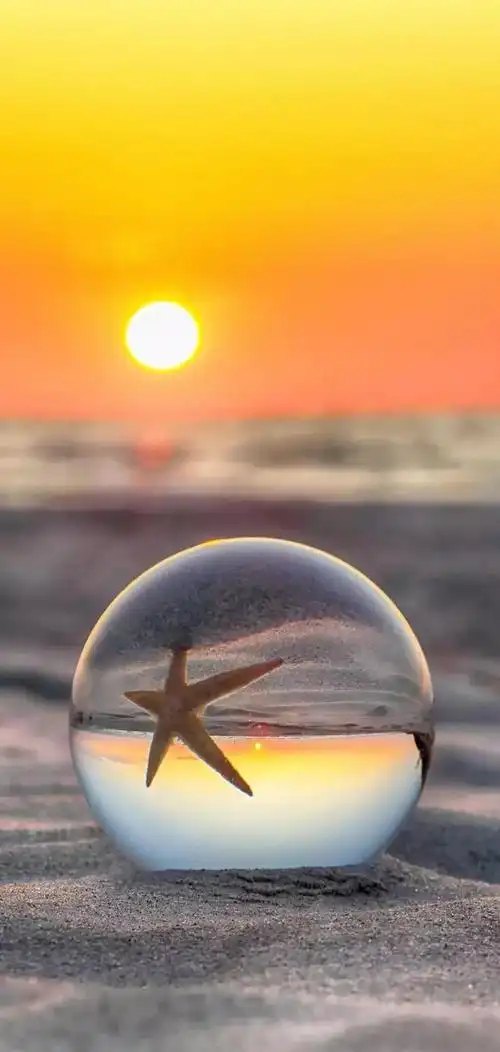 超清壁纸合集人文美食萌宠运动旅行风景