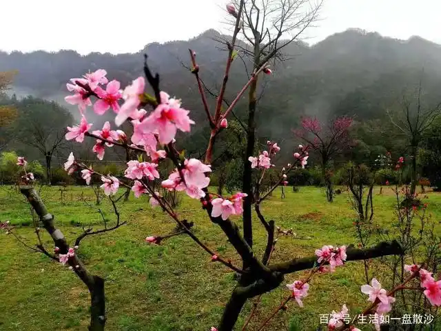 春天山里的风景美如画