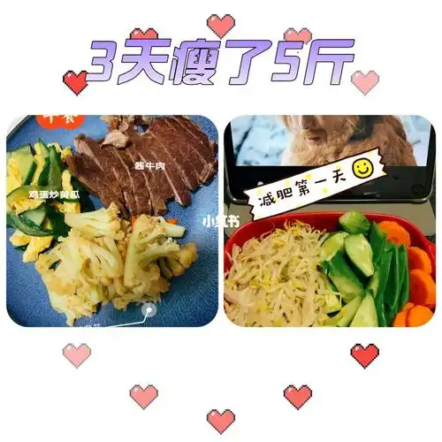 减肥了77吃了3天减脂餐掉了5斤