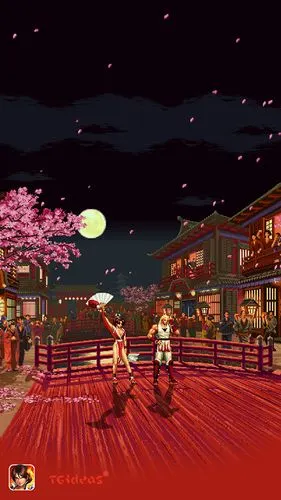 致敬最莫名其妙的爱情