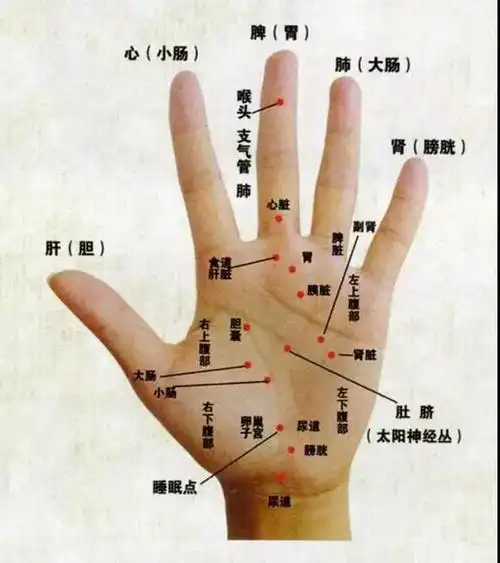 你所有的秘密都在五个手指头上