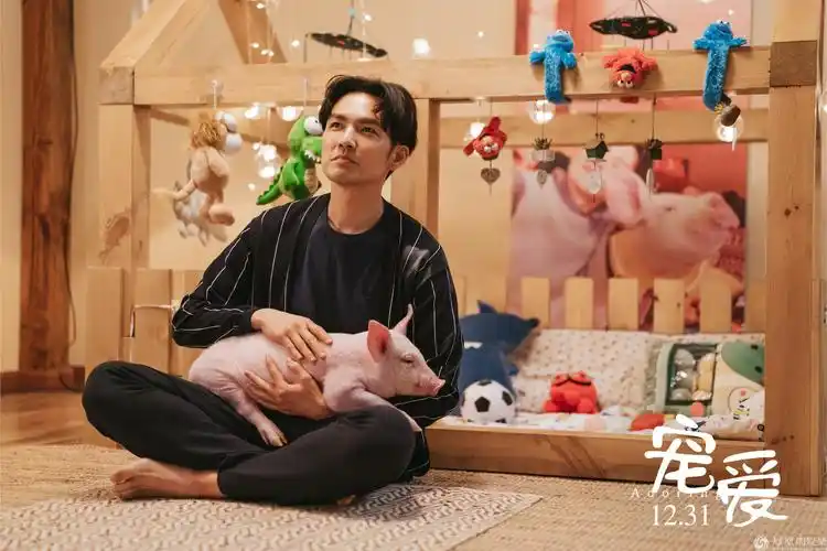 《宠爱》曝新预告 "颜控"小猪黏上钟汉良