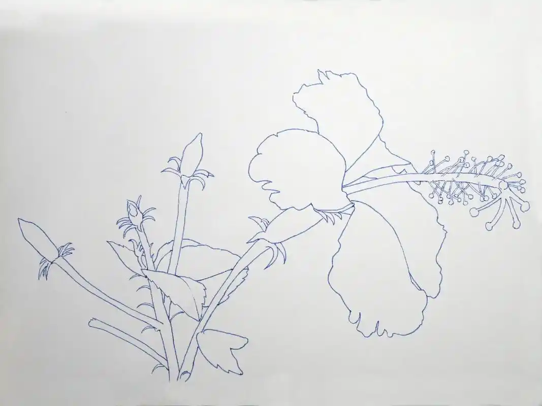 手绘 #日常瞎画 #花卉#钢笔画 - 抖音