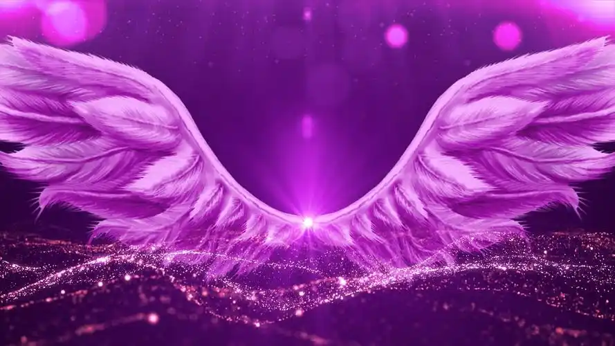 年会4k唯美大气紫色翅膀粒子背景视频紫色背景下载 - 觅知网