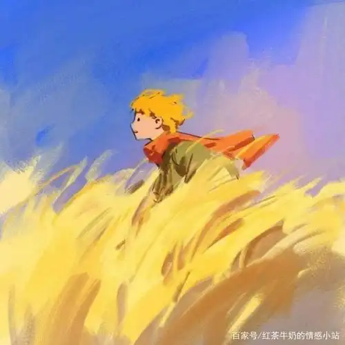 在一个遥远而又神秘的星球上,住着一个小王子,他离开自己心爱的玫瑰和