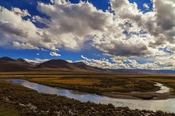草原雄风系列——那曲高寒草原