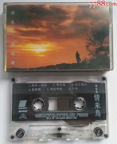 刘德华-情未鸟-1216