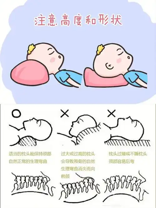 枕头过大过高会导致颈骨的自然生理弯曲消失而向前倾(也就是我们说的
