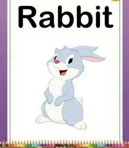 兔子用英语怎么说?rabbit英语单词卡片简笔画大全