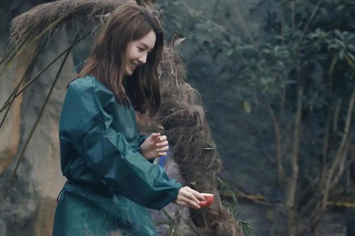 金晨动物园游客照,侧颜真的好美, 小熊围巾好可爱!