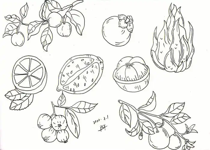 水果简笔画简笔画