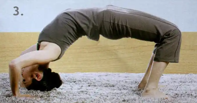 正位瑜伽——拱桥式