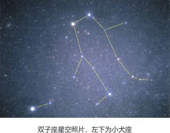 从天鹅蛋蹦出的孪生子双子座