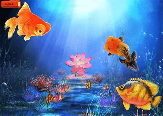 640_457gif 动态图 动图