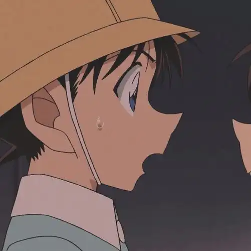 名侦探柯南#樱花班的回忆#小新一小小兰情头#新兰情头#新一小兰#毛利