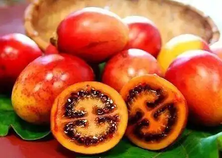 走眼| 爆点食材,带你养眼识别罕见水果