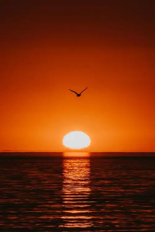 文字的魔力治愈系文章带你跨越心灵的障碍