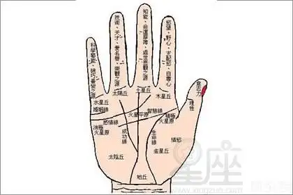 生命纹断了怎么办 生命线代表什么