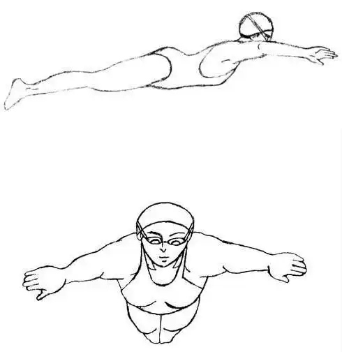 中考体育考试:蛙泳的技巧(图解)