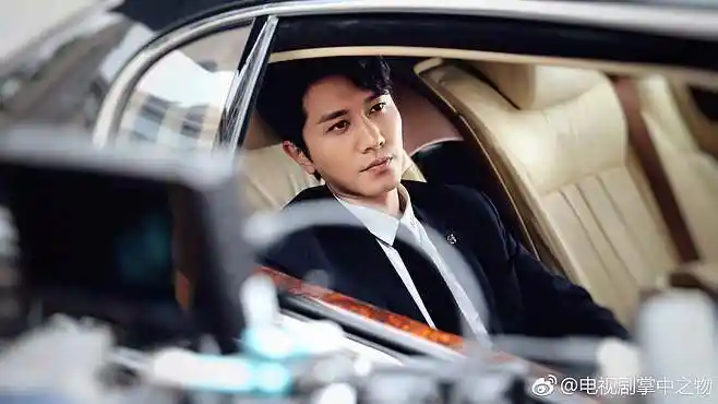 电视剧掌中之物傅慎行彭冠英饰