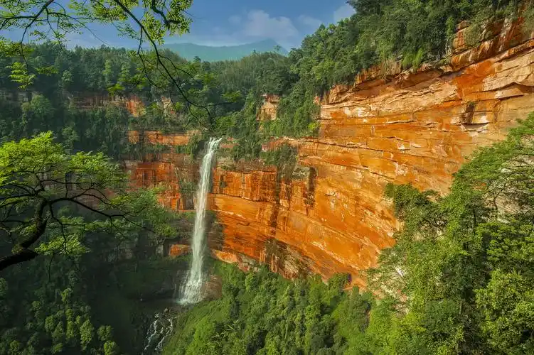 今天,23.6℃的贵州夏日清凉飘向了三伏天的江苏_荔枝网新闻