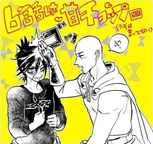 一拳超人 一击男 音速的索尼克 琦玉 转载自p站 勿侵删 画师セイコ