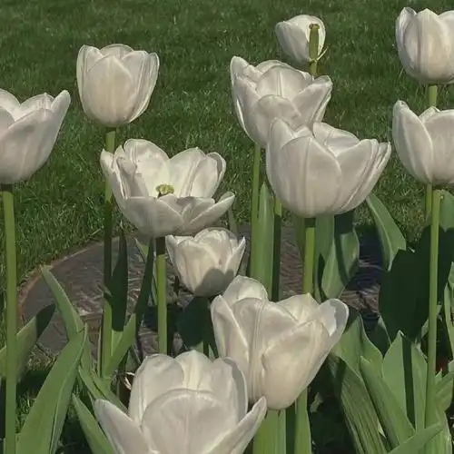 ins微信背景图_腾讯新闻