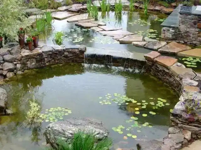 适合在后院里布置的14个水池瀑布创意过上养鱼种花的生活
