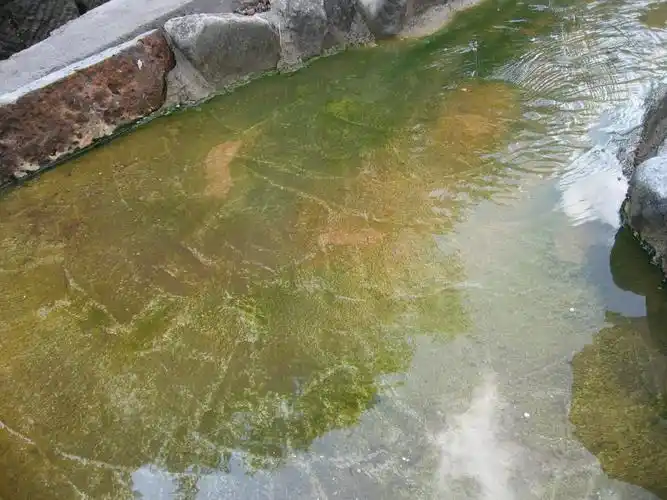 2022长白山冷泉游玩攻略,冷泉比较特别,附近还有温泉. 【去哪儿攻略】