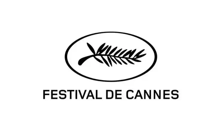 知同道合教育|戛纳金棕榈应该要比奥斯卡获得更多关注(上)