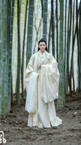 凤囚凰 王意之 张馨予