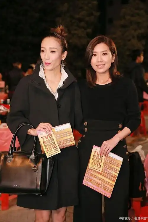 区别郑秀文与杨千嬅:从外貌到音乐风格的辨别指南