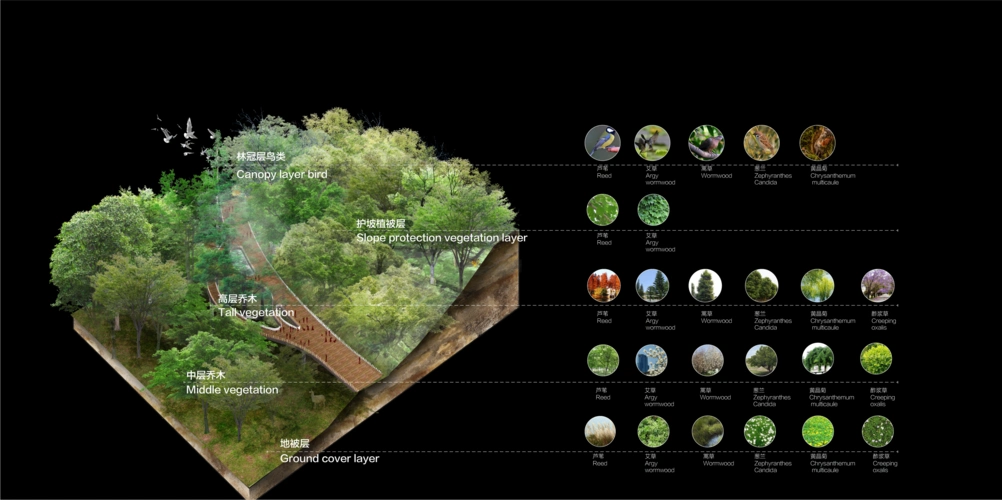 20171014景观分析图与文本生成研习班第6期