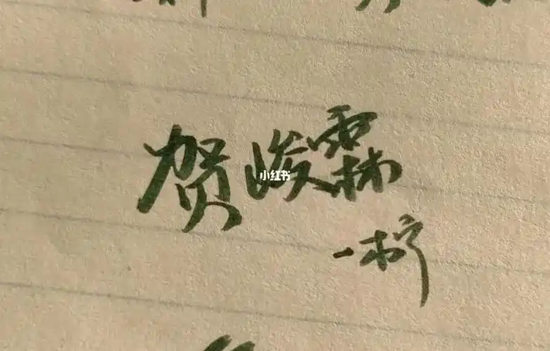 提建议的去笔记《建议箱》#贺峻霖  #时代少年团贺峻霖  #手写