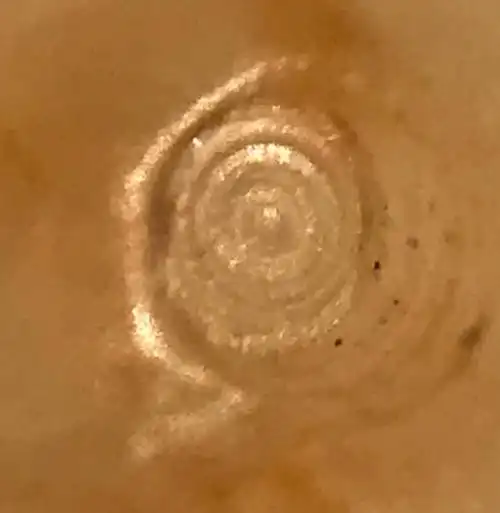 原创古玉学步114古玉制作微型钻孔的痕迹特征