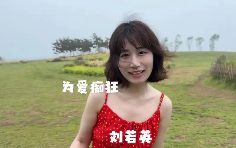 为爱痴狂 刘若英 翻唱