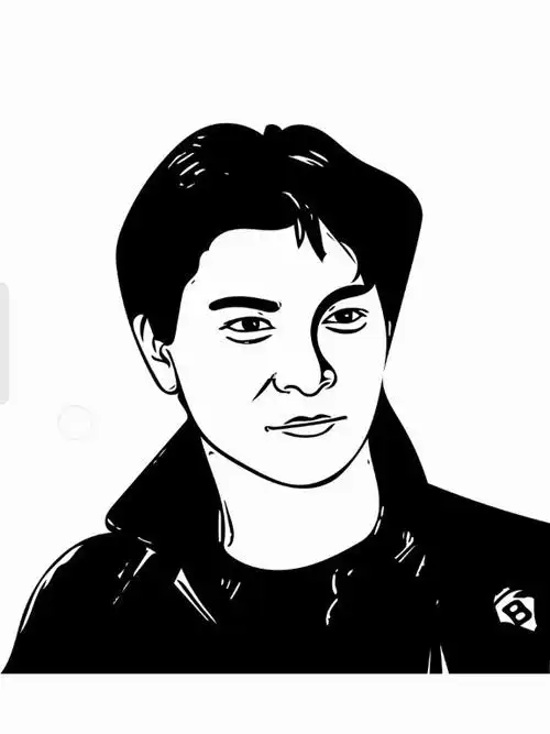 剪纸肖像华仔视频